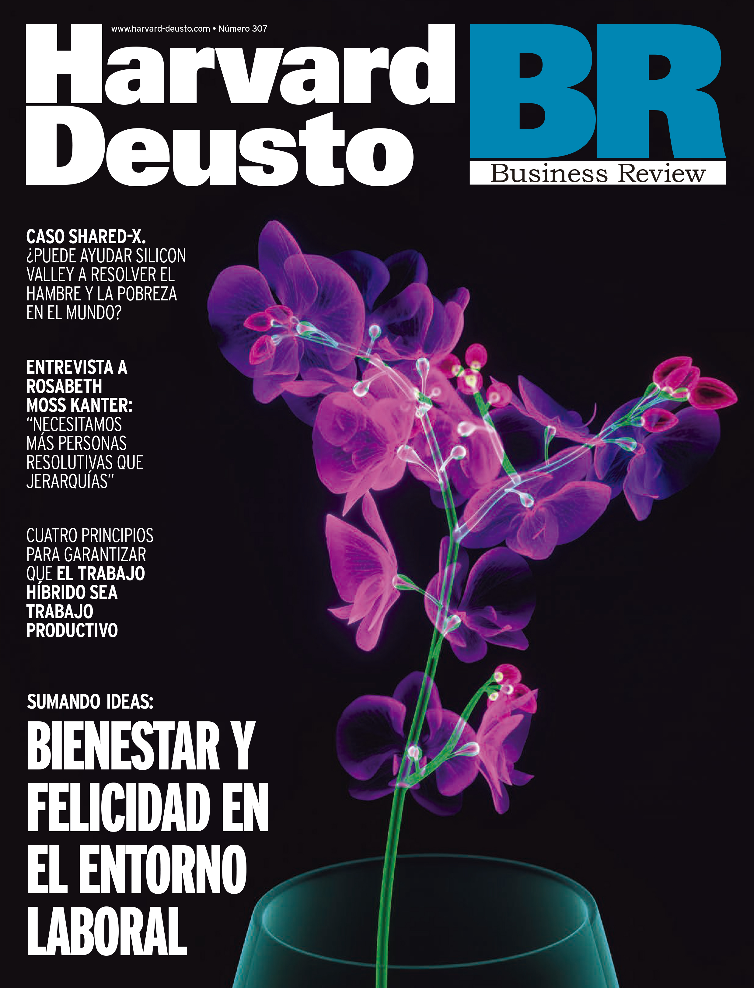 Harvard Deusto Business Review - Revista De Enero 2021 Nº307 | Harvard ...